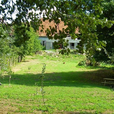 Le Sanglier Sauvage Bed & Breakfast Champsevraine ภายนอก รูปภาพ