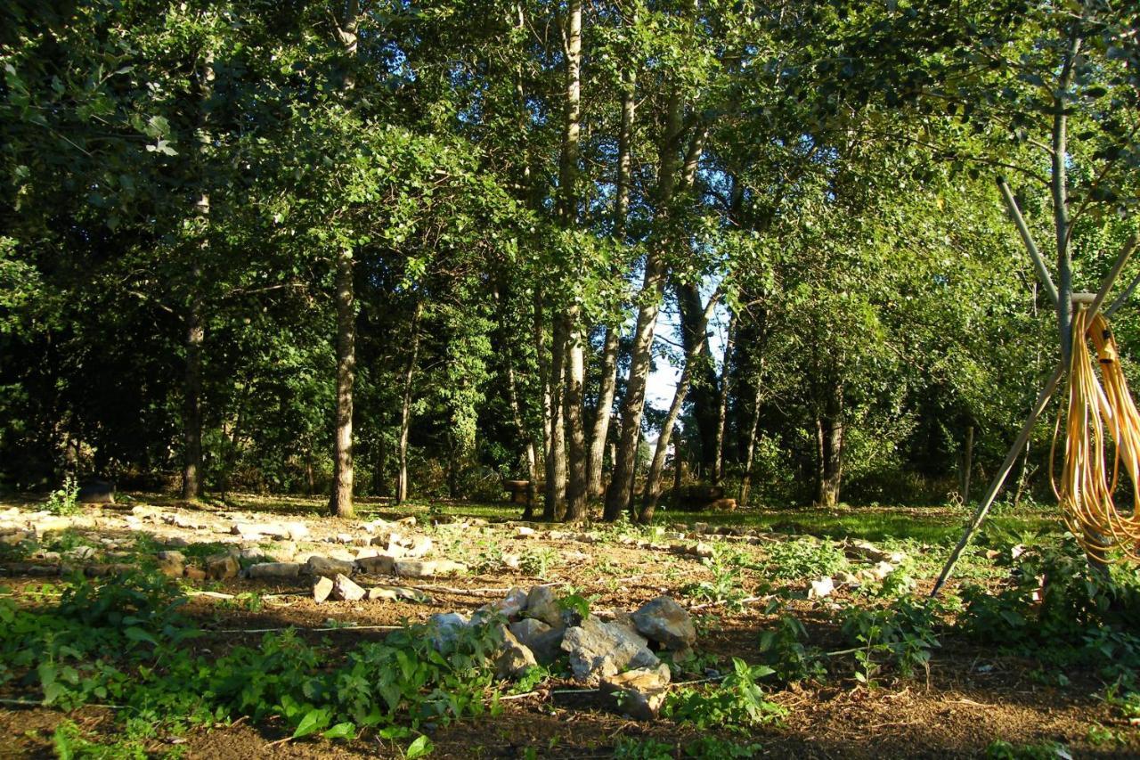 Le Sanglier Sauvage Bed & Breakfast Champsevraine ภายนอก รูปภาพ